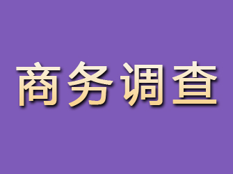 大冶商务调查